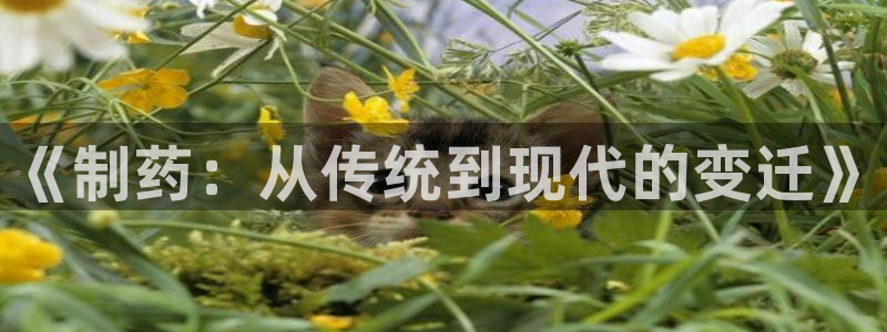 正规彩名堂官网计划
