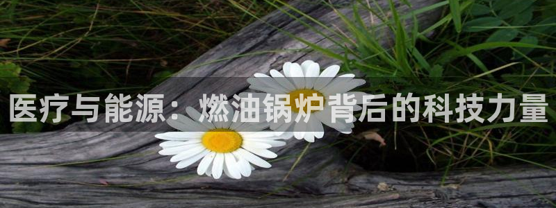 如何进入彩名堂官网更新
