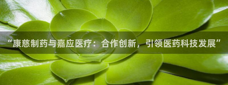 彩名堂官网计划