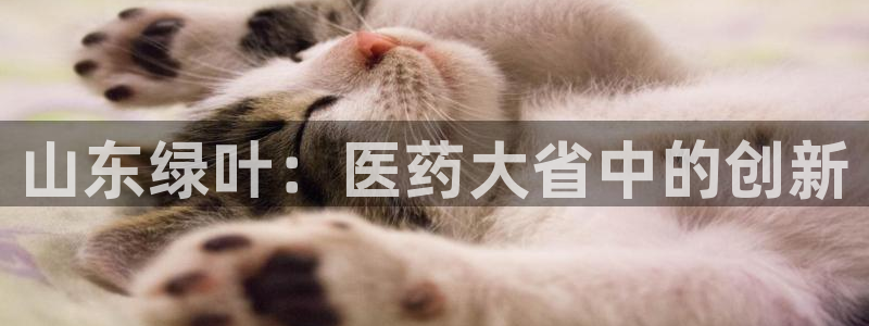 彩名堂免费计划客户端官网