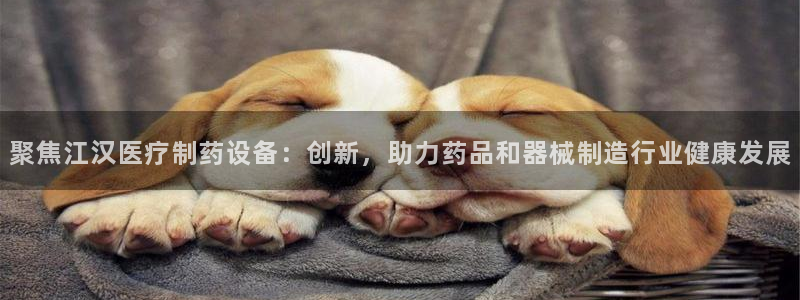 下载彩名堂预测计划软件安全吗