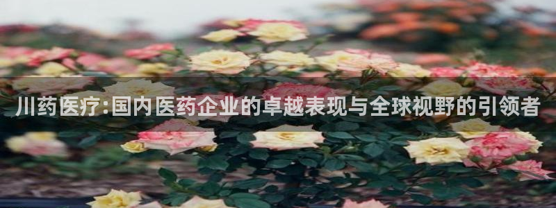 彩名堂彩