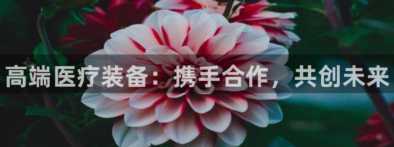 彩名堂计划技巧