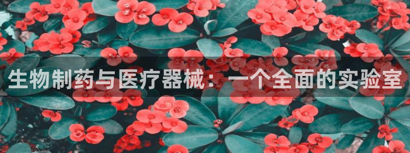 彩名堂的拼音