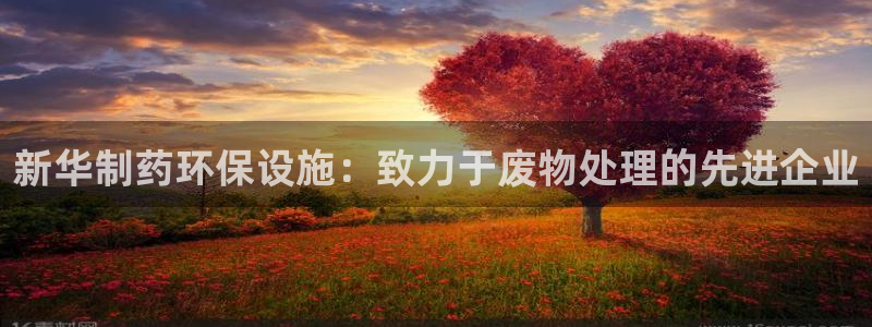 彩名堂app2.05版本