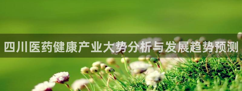 彩名堂01计划
