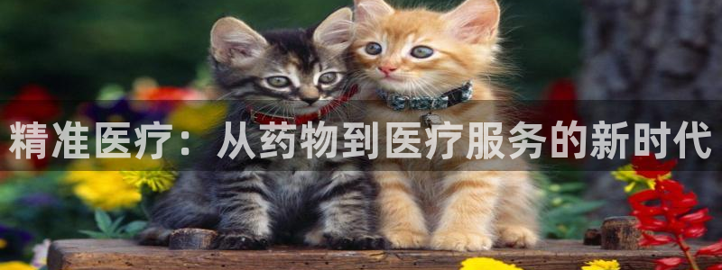 彩名堂5.0计划永久免费版为什么下不了