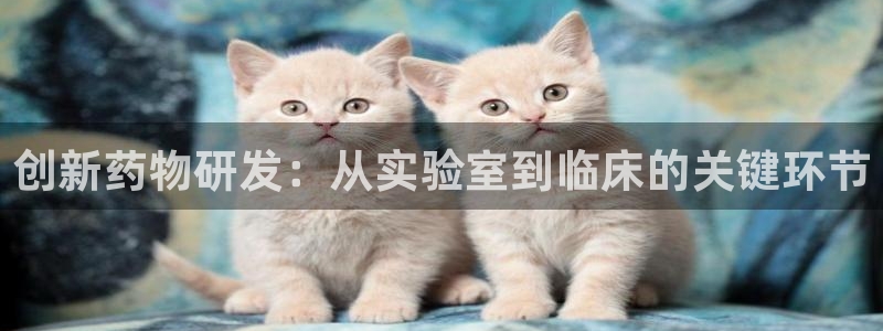 彩名堂客户端加拿大