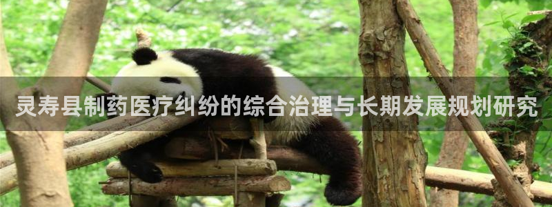 彩名堂怎么打最稳