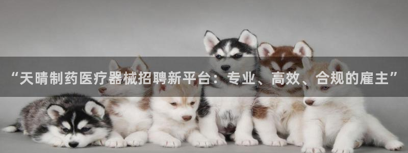 彩名堂预测网站