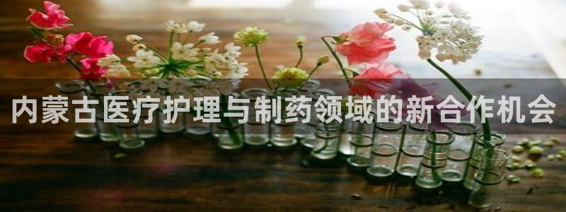彩名堂.netnet