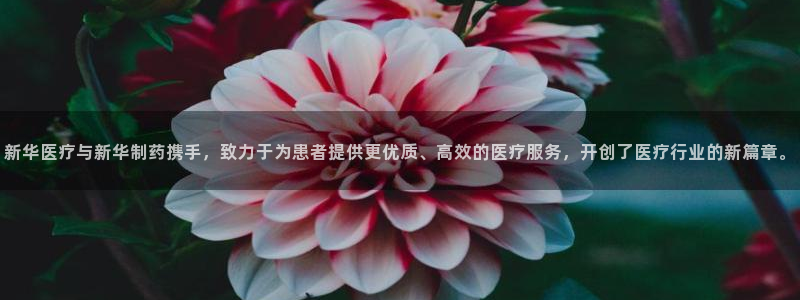 彩名堂免费计划官网5.0.0