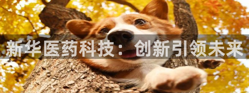 彩名堂怎么选稳定计划产品