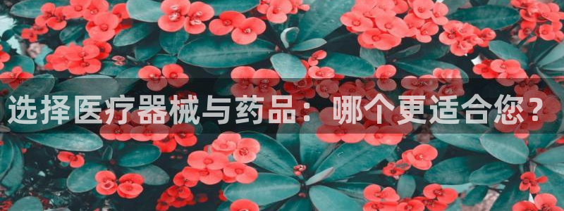 彩名堂官网计划怎么下载到手机