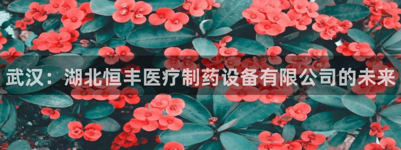 彩名堂怎么用不输