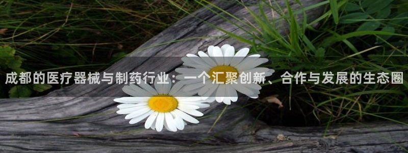 彩名堂和01计划哪个好