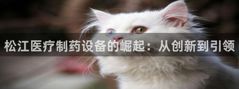 彩名堂怎么打不开了