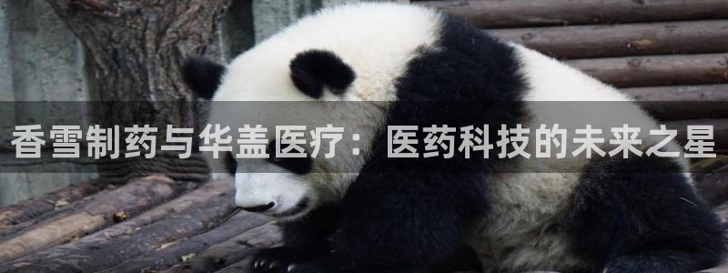 彩名堂一直不出结果怎么回事呢