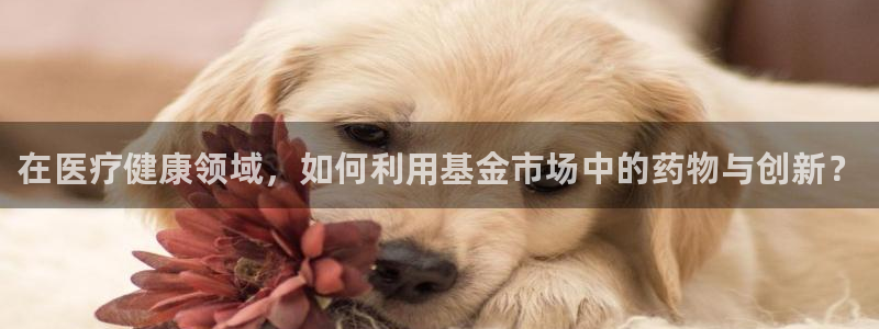 彩名堂为什么用不了了