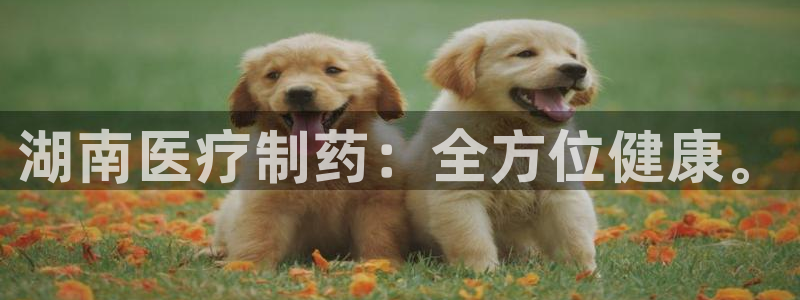 彩名堂官网谁有